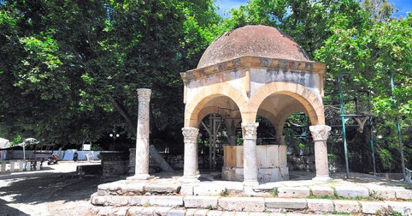 the-plane-tree-of-hippocrates-monuments-sights-culture-kos